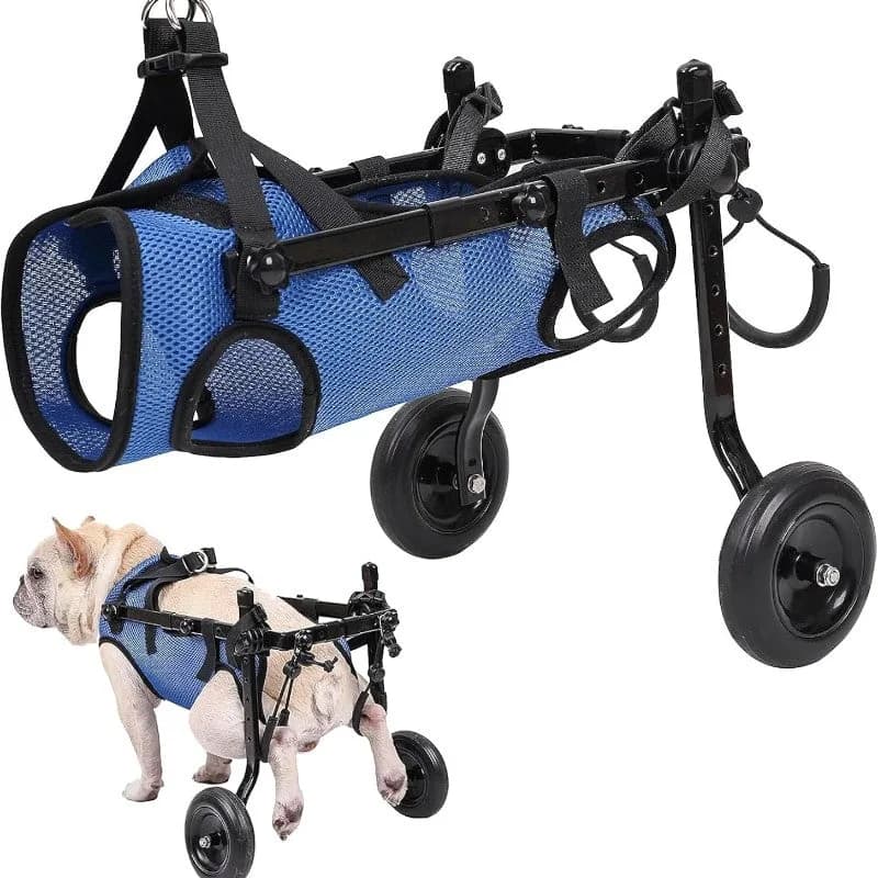 Dog Wheelchair for Back Legs -M