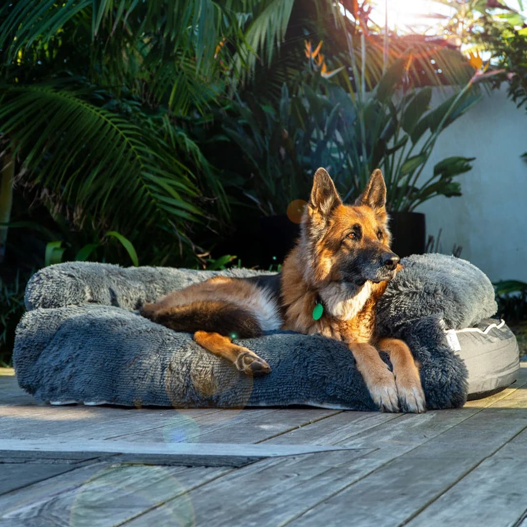 Brooklyn Chew Resistant Luxe Lounger (2-in-1 Dog Bed)
