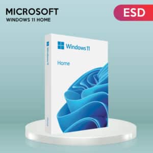 Microsoft Windows 11 Home OEM ESD