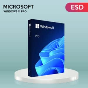 Microsoft Windows 11 Pro OEM ESD