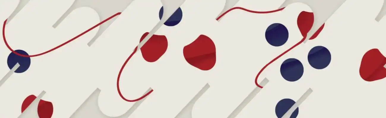 cropped Banner for Chooice scaled 1 Kapsule