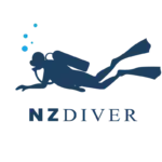 Ball Sinker 6.0oz - 2pc