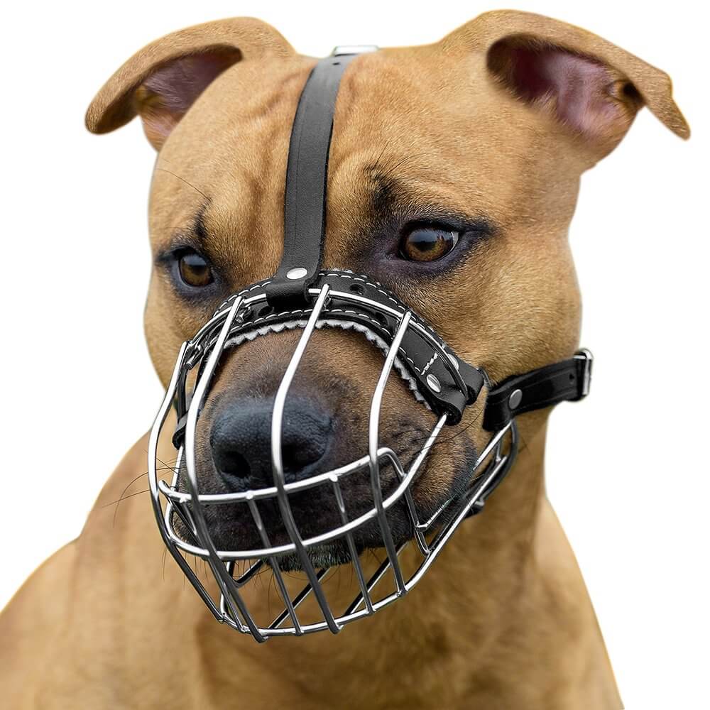 Dog Muzzle Wire Basket Amstaff Pit Bull Metal Mask Adjustable Leather Straps