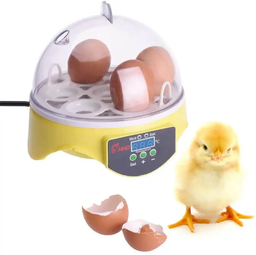 Egg Incubator Automatic 7 Eggs