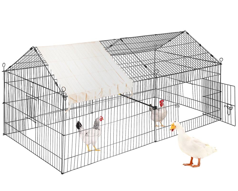 Outdoor Chicken Coop