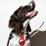 Apple AirTag Locator AirTag Silicone Protective Cover with Carabiner Clip - Image 6