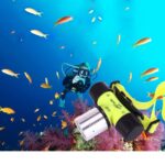 50m Waterproof LED Lightweight Head Lamp , 3 Modes, T6 LED 800LM - Image 5